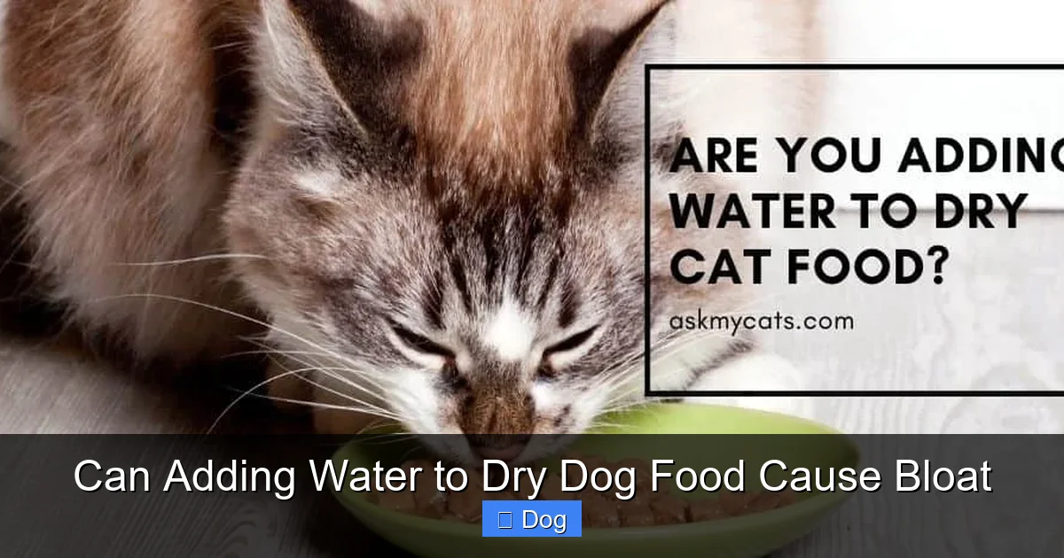Can Adding Water to Dry Dog Food Cause Bloat