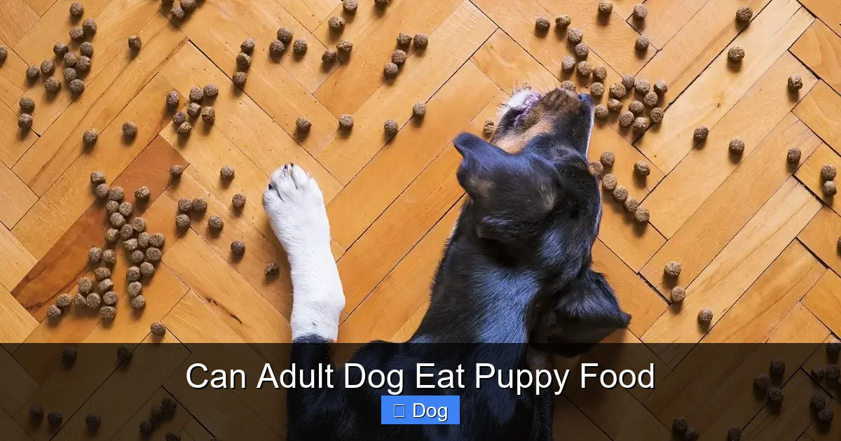 Can Adult Dog Eat Puppy Food