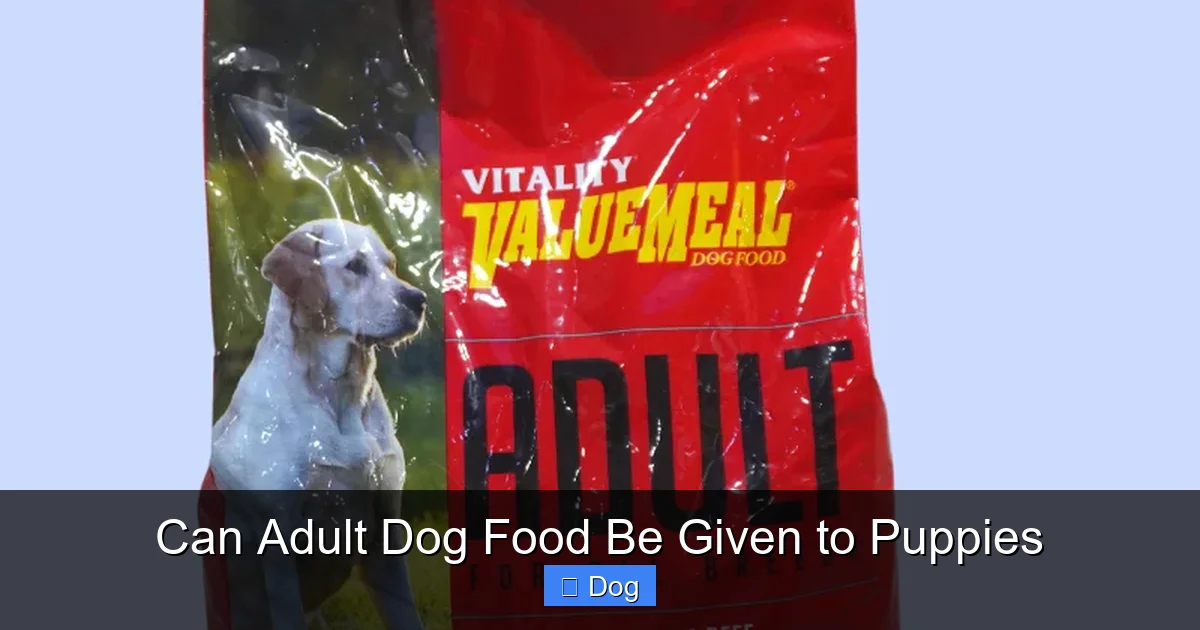 Can Adult Dog Food Be Given to Puppies