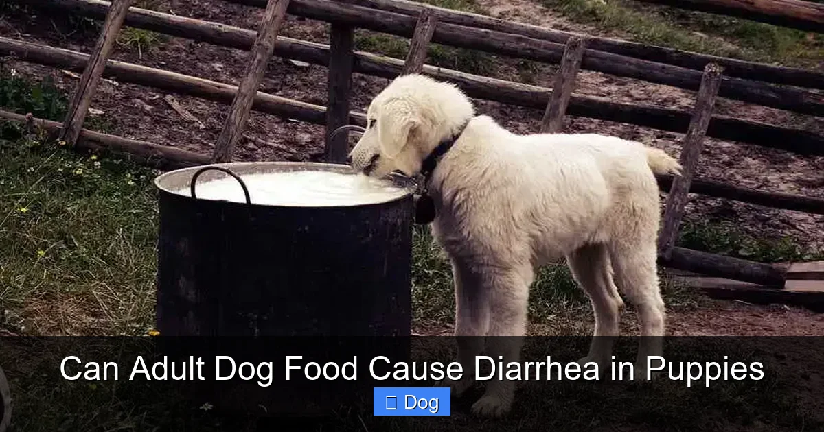 Can Adult Dog Food Cause Diarrhea in Puppies