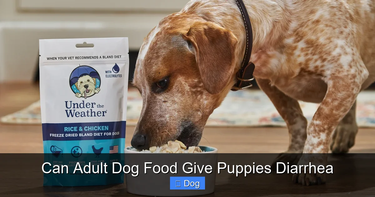 Can Adult Dog Food Give Puppies Diarrhea