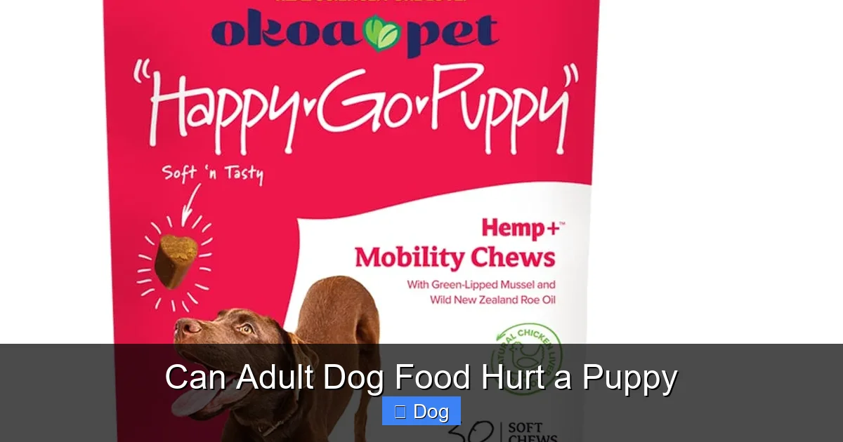 Can Adult Dog Food Hurt a Puppy