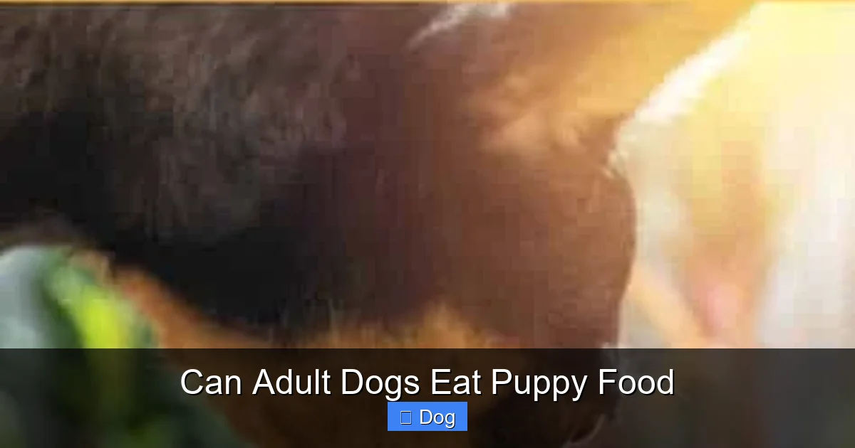 Can Adult Dogs Eat Puppy Food