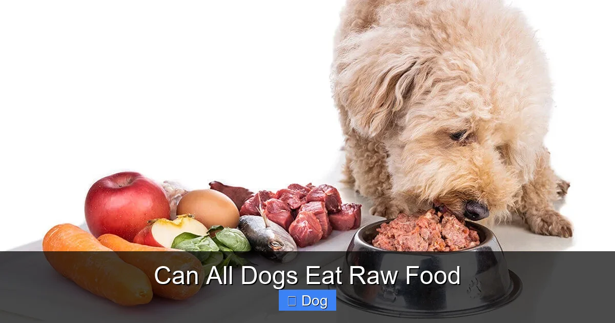 Can All Dogs Eat Raw Food