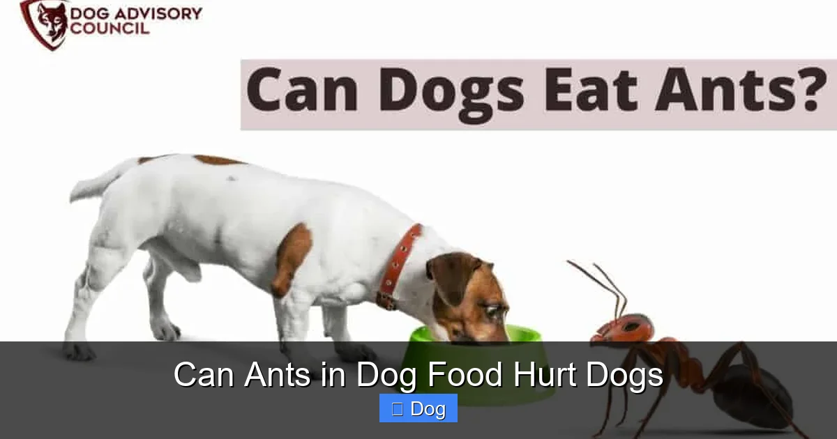 Can Ants in Dog Food Hurt Dogs