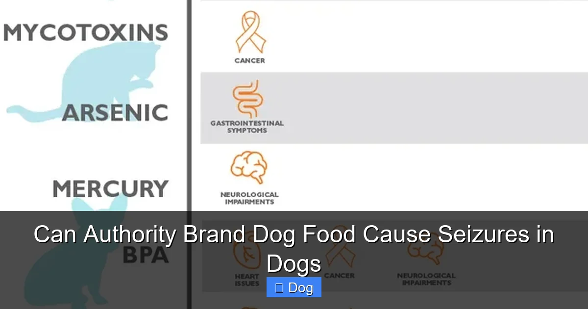 Can Authority Brand Dog Food Cause Seizures in Dogs