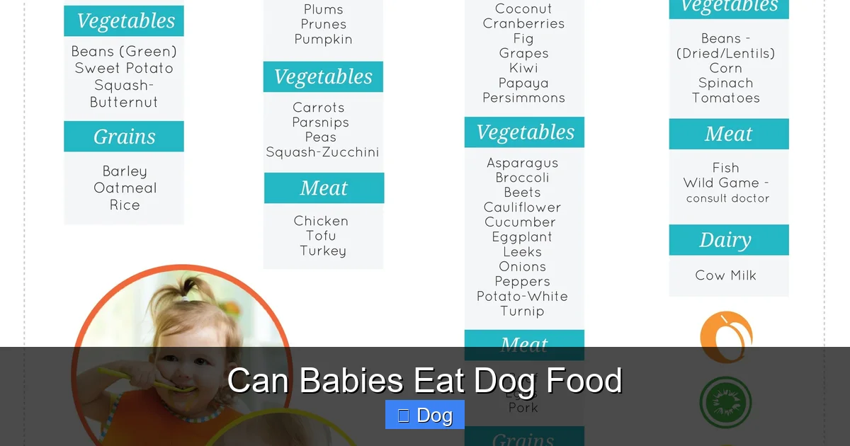 Can Babies Eat Dog Food