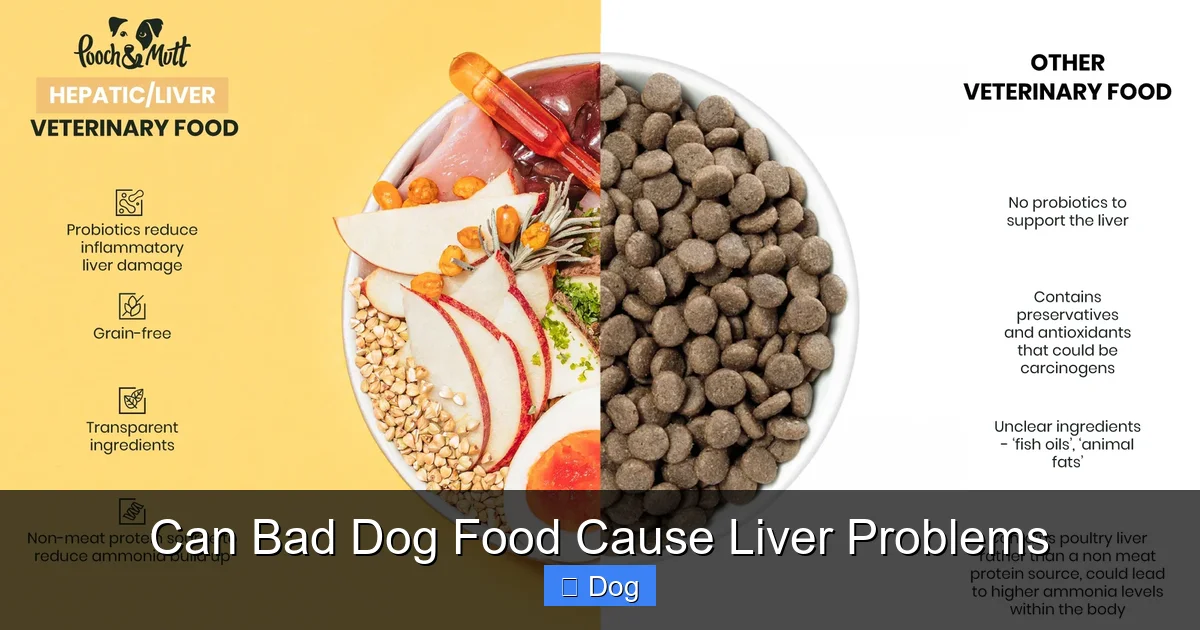 Can Bad Dog Food Cause Liver Problems