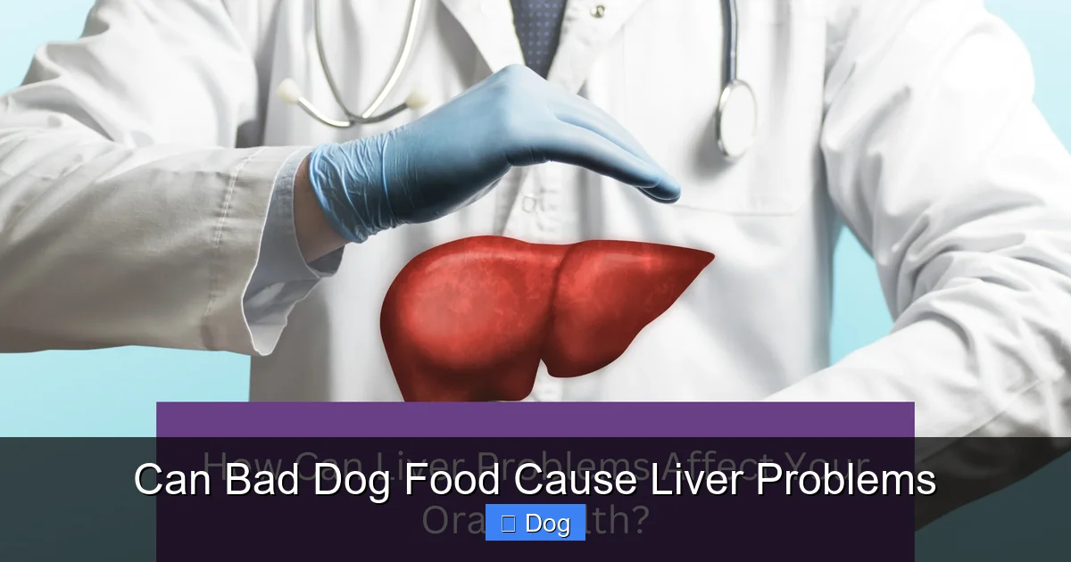 Can Bad Dog Food Cause Liver Problems