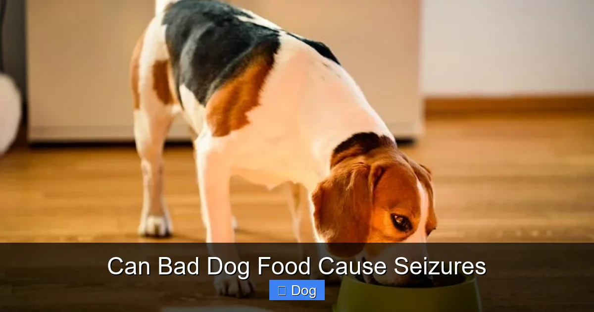 Can Bad Dog Food Cause Seizures
