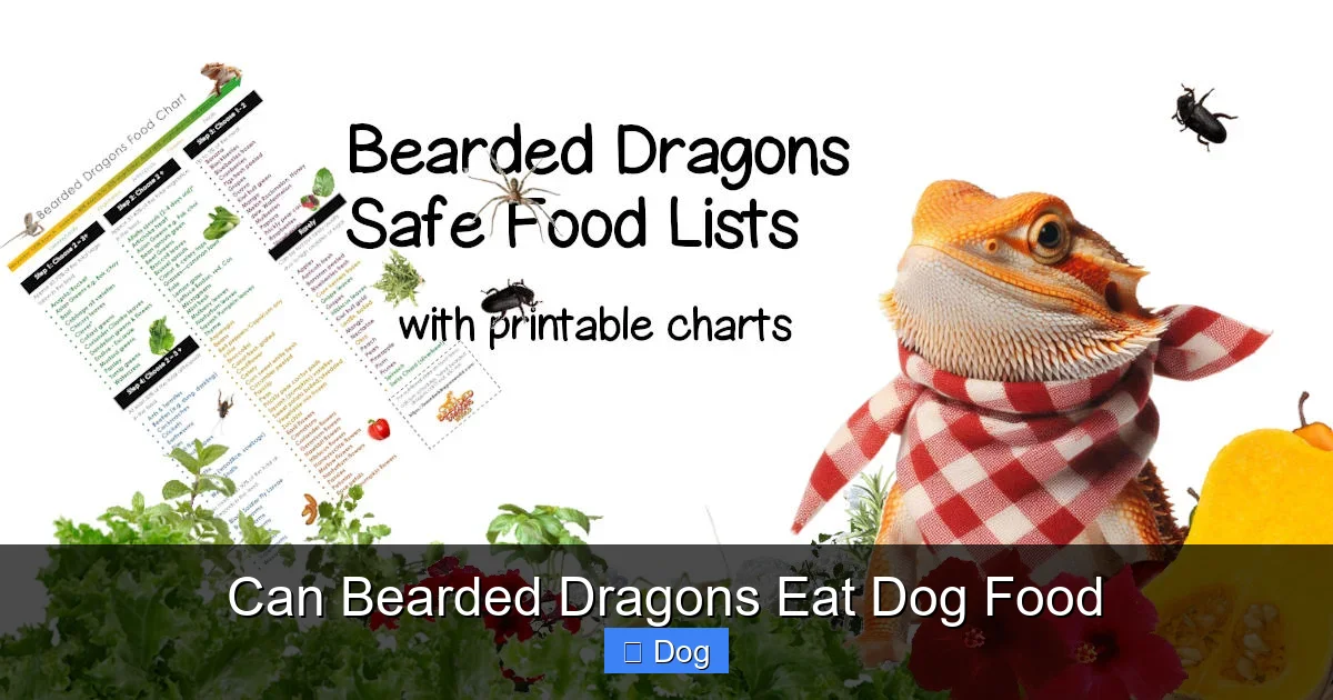 Can Bearded Dragons Eat Dog Food