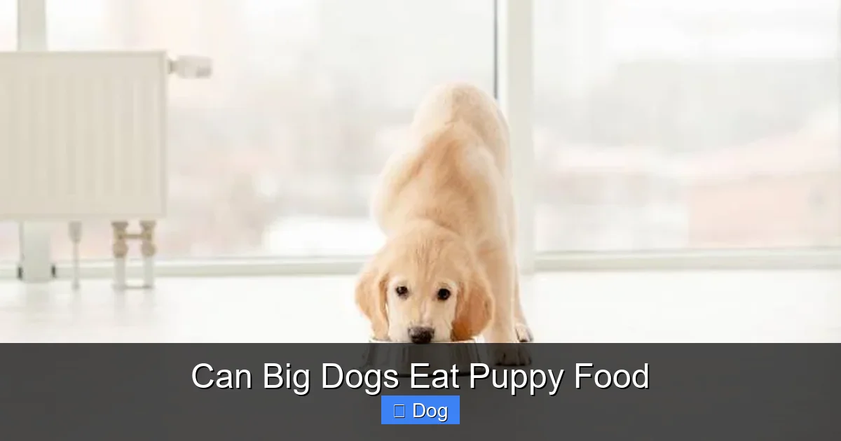 Can Big Dogs Eat Puppy Food