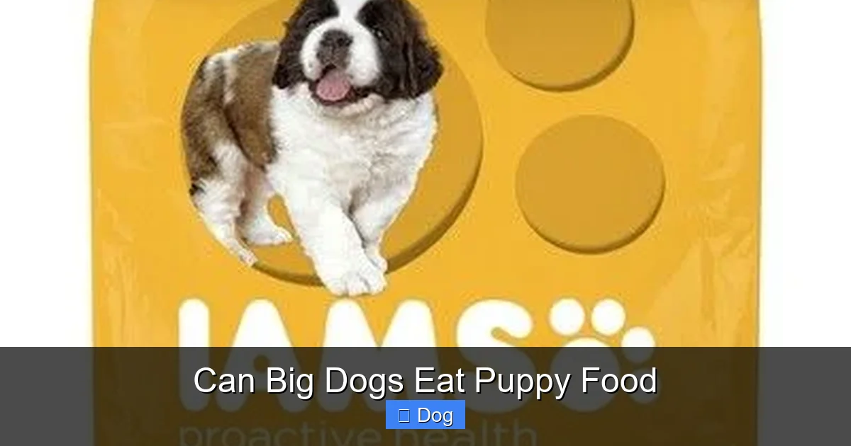 Can Big Dogs Eat Puppy Food