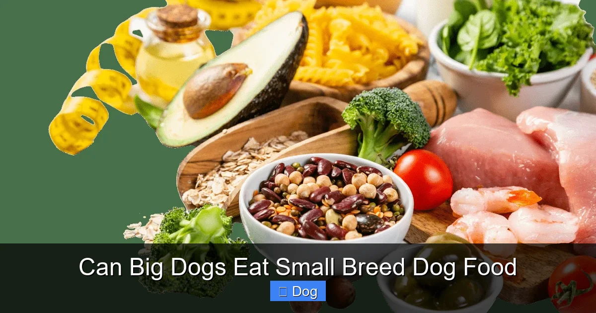 Can Big Dogs Eat Small Breed Dog Food