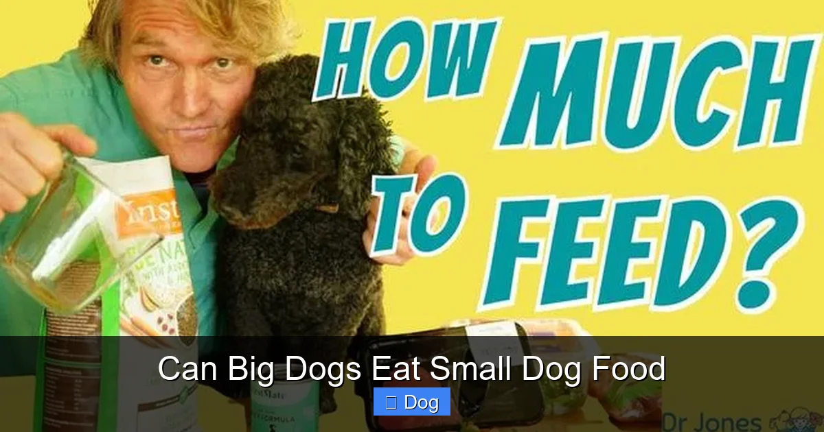 Can Big Dogs Eat Small Dog Food