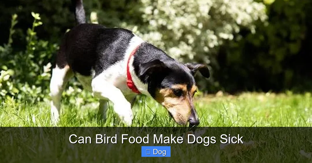 Can Bird Food Make Dogs Sick