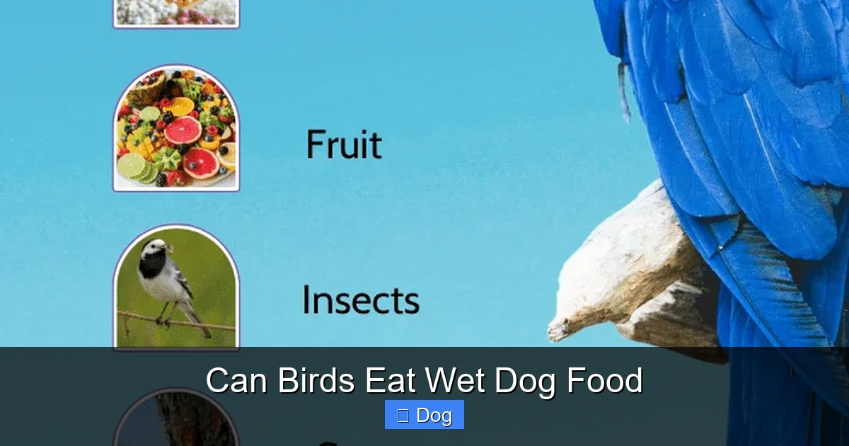 Can Birds Eat Wet Dog Food