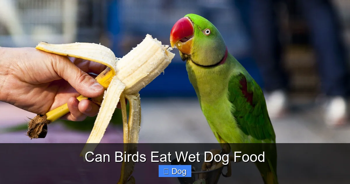 Can Birds Eat Wet Dog Food