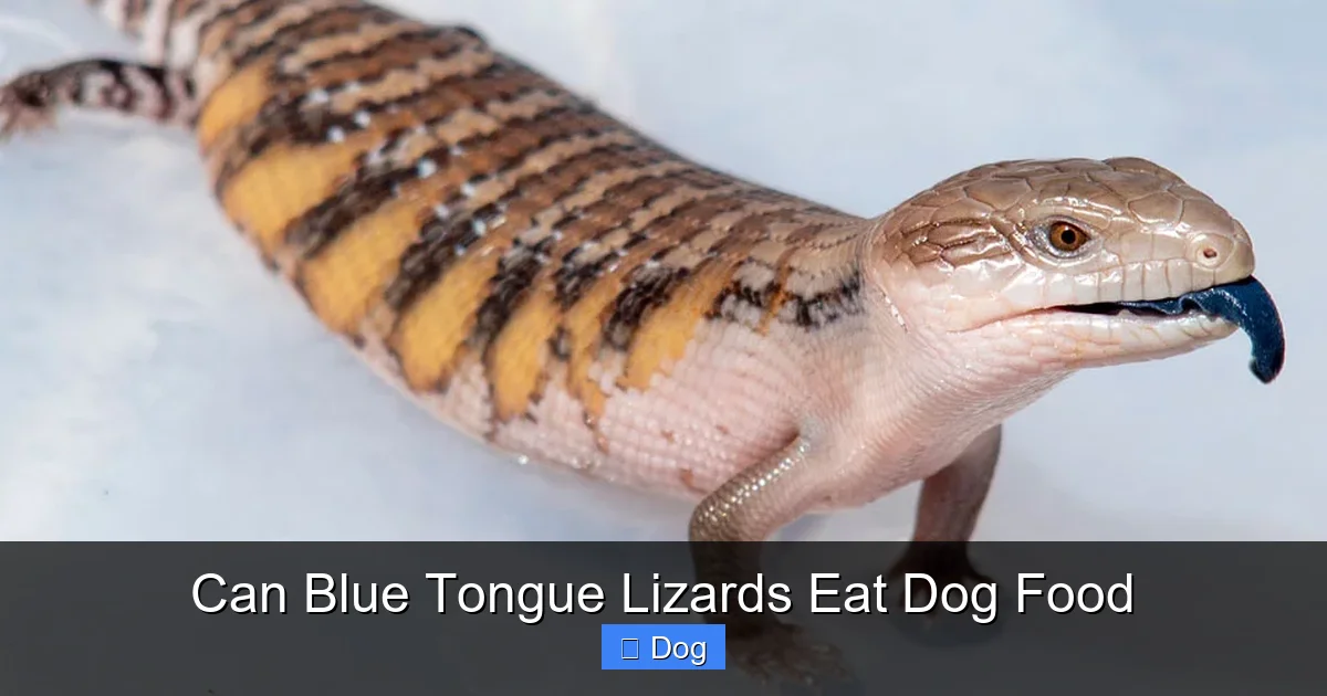 Can Blue Tongue Lizards Eat Dog Food