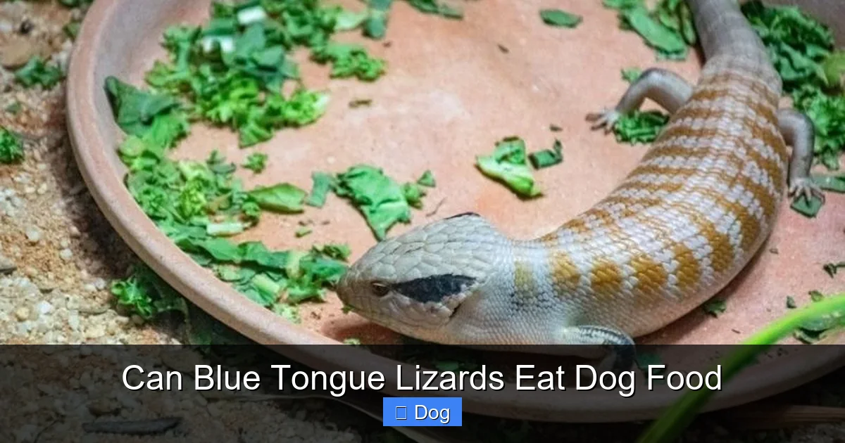 Can Blue Tongue Lizards Eat Dog Food
