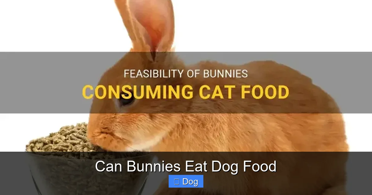 Can Bunnies Eat Dog Food
