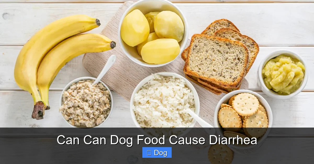 Can Can Dog Food Cause Diarrhea