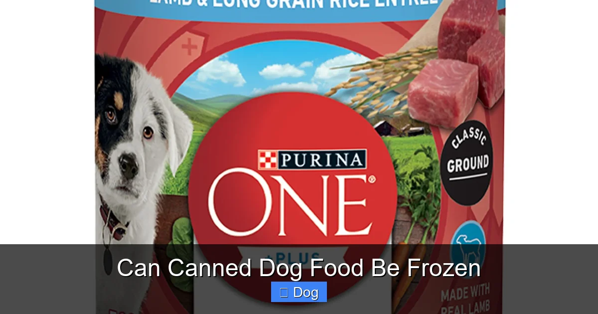 Can Canned Dog Food Be Frozen