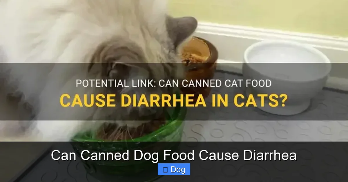 Can Canned Dog Food Cause Diarrhea