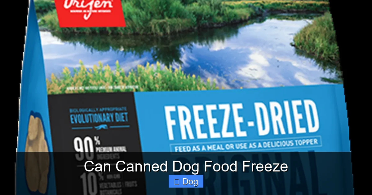 Can Canned Dog Food Freeze