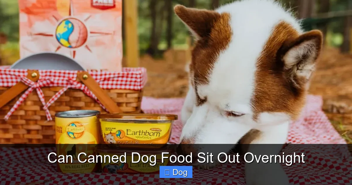 Can Canned Dog Food Sit Out Overnight