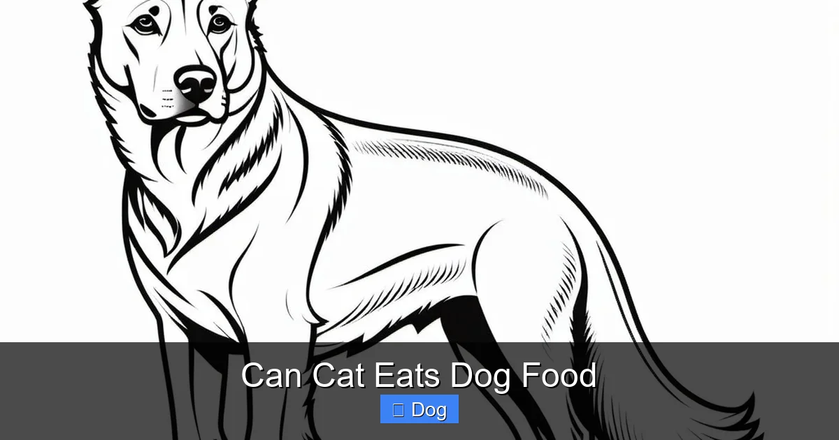Can Cat Eats Dog Food
