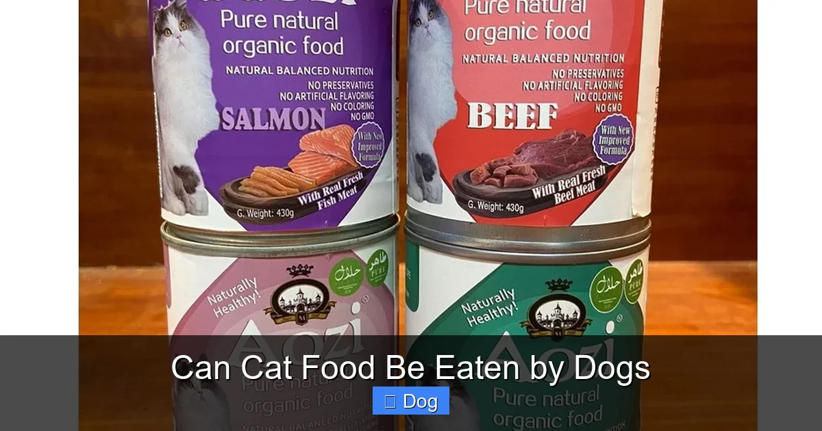 Can Cat Food Be Eaten by Dogs