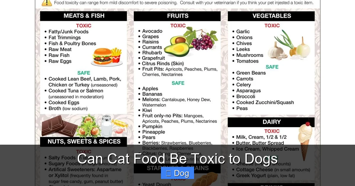 Can Cat Food Be Toxic to Dogs