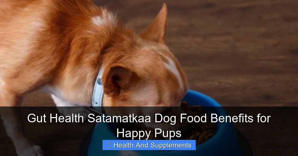 Gut Health Satamatkaa Dog Food Benefits for Happy Pups