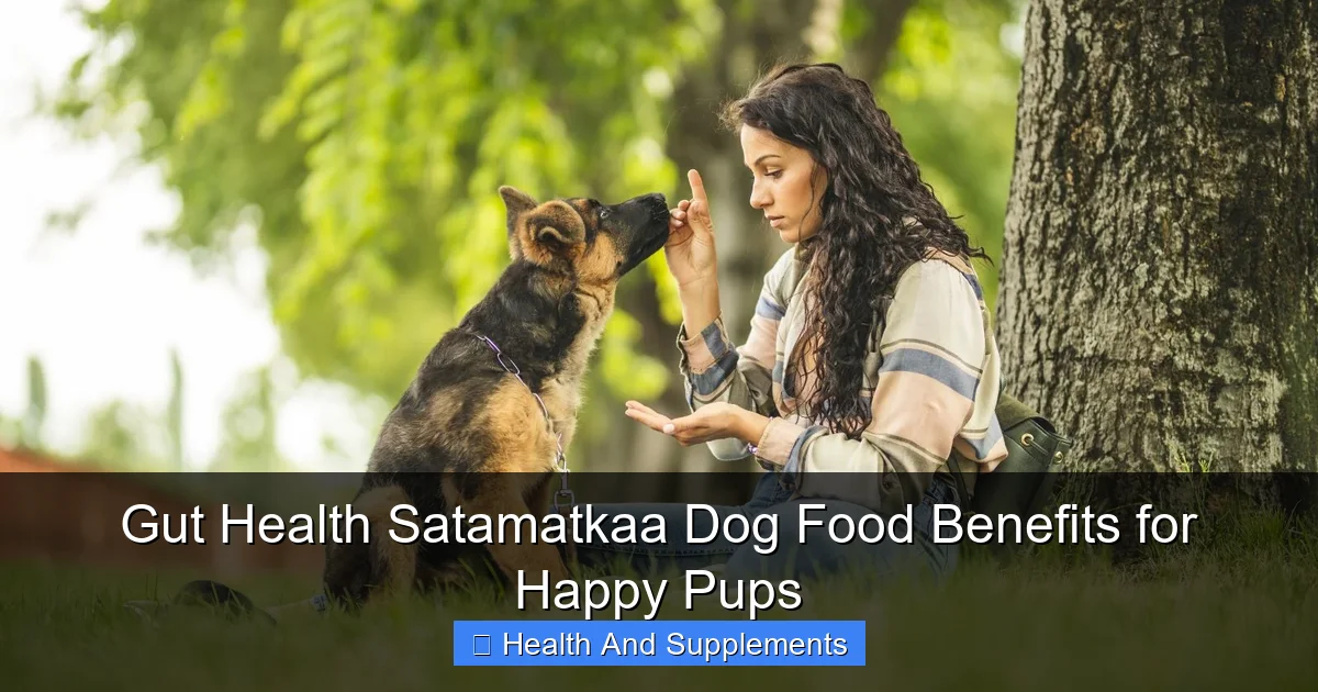 Gut Health Satamatkaa Dog Food Benefits for Happy Pups