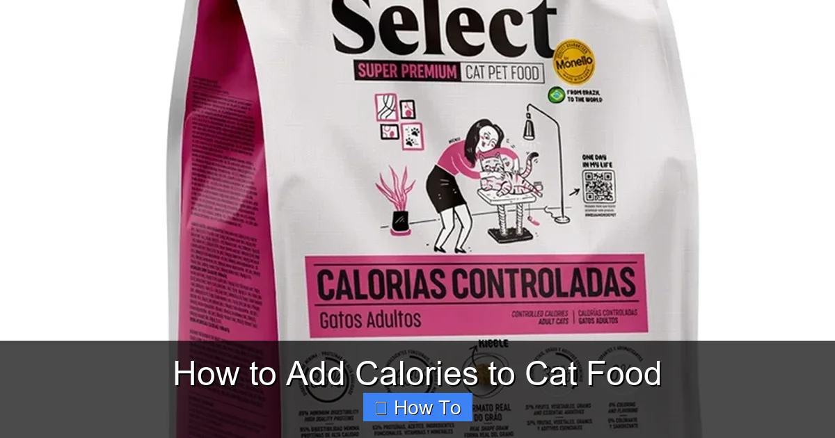 How to Add Calories to Cat Food