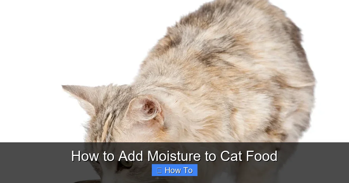 How to Add Moisture to Cat Food