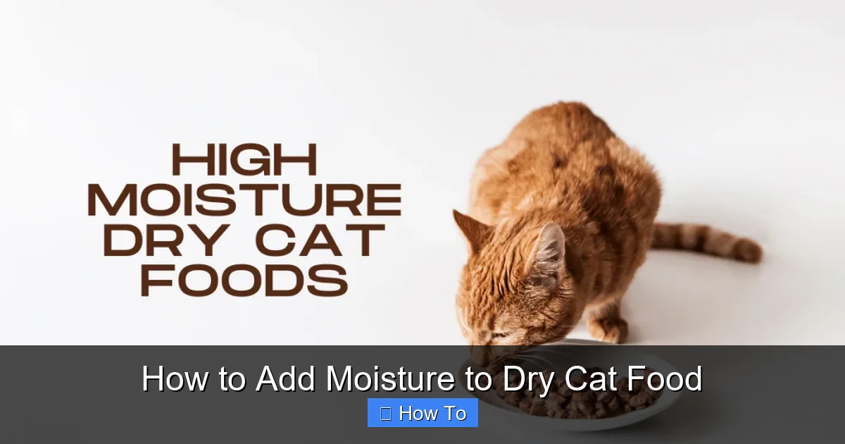 How to Add Moisture to Dry Cat Food