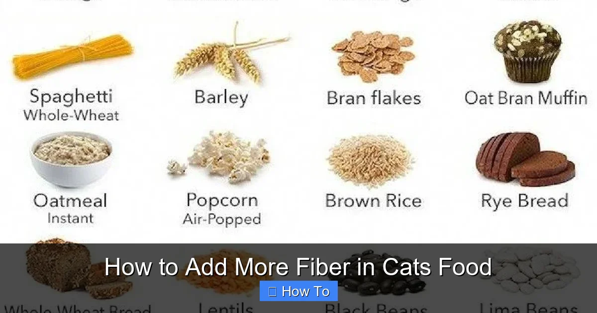 How to Add More Fiber in Cats Food