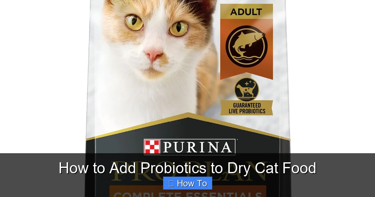 How to Add Probiotics to Dry Cat Food