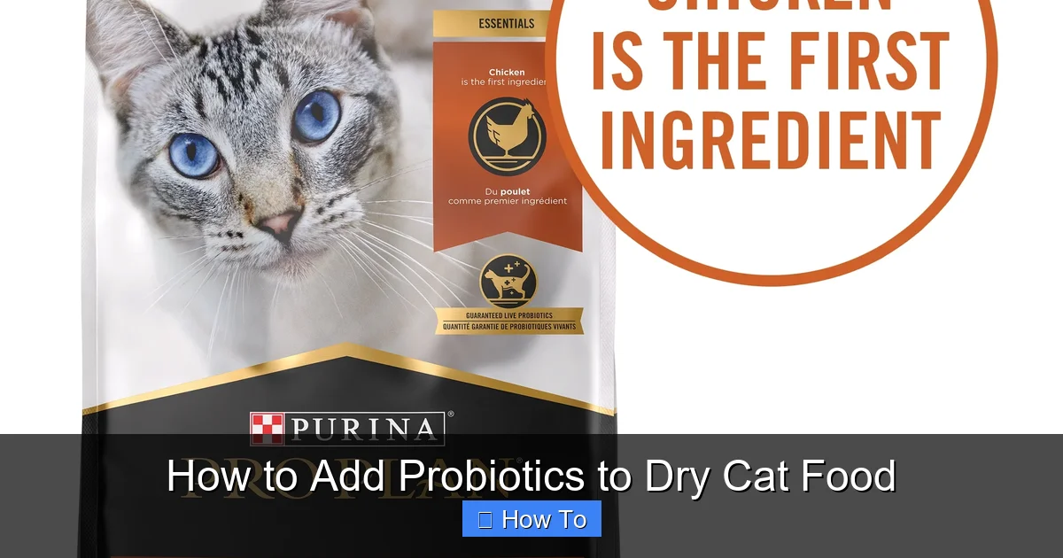 How to Add Probiotics to Dry Cat Food