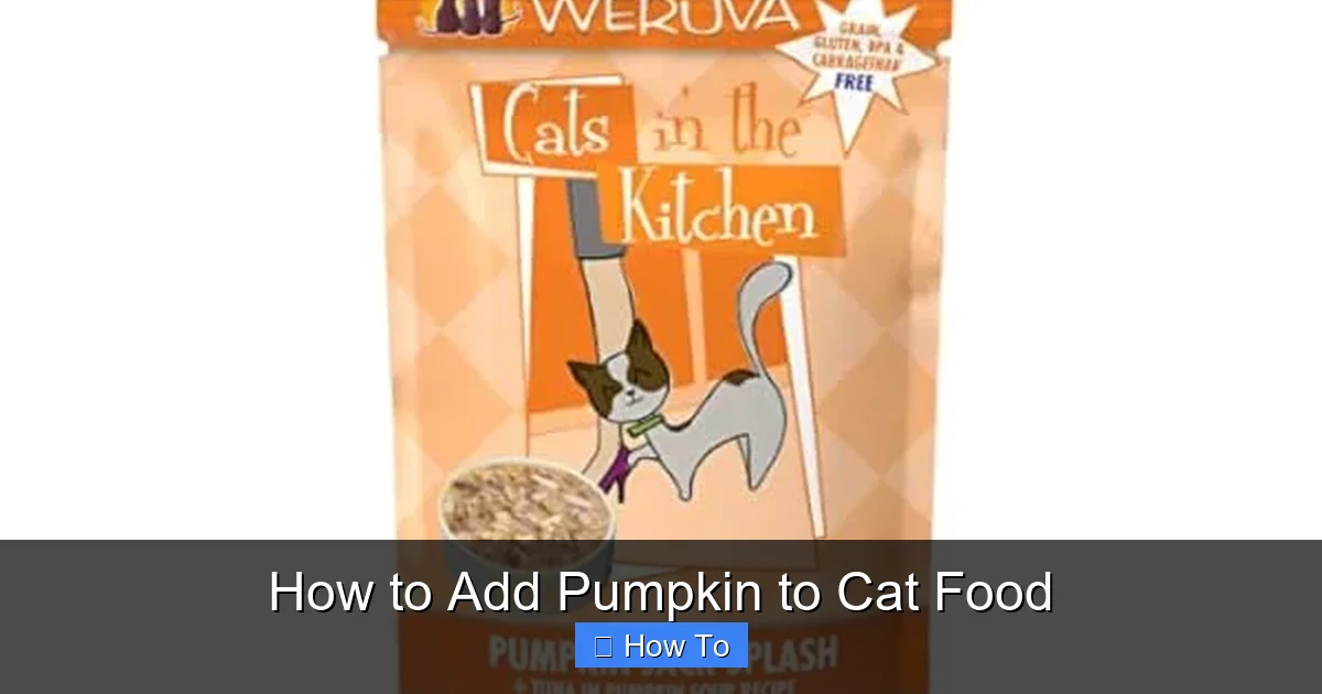 How to Add Pumpkin to Cat Food