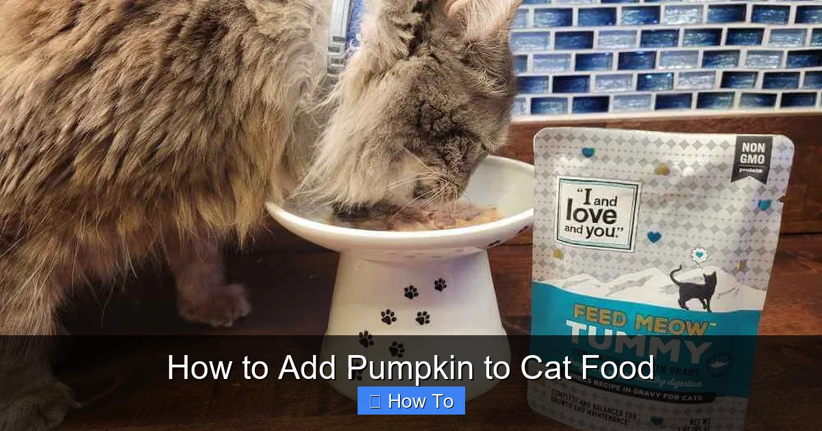 How to Add Pumpkin to Cat Food