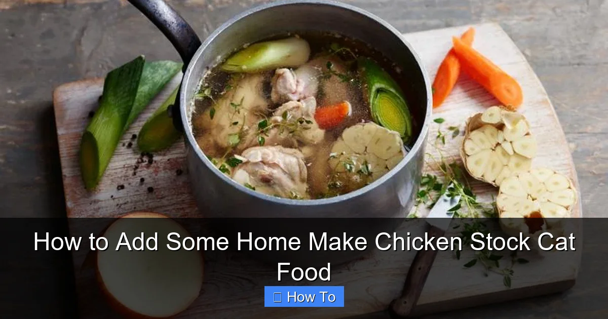 How to Add Some Home Make Chicken Stock Cat Food