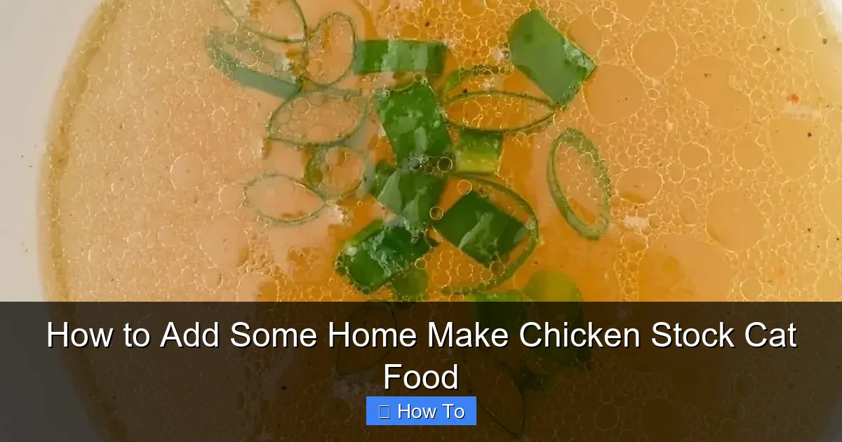 How to Add Some Home Make Chicken Stock Cat Food