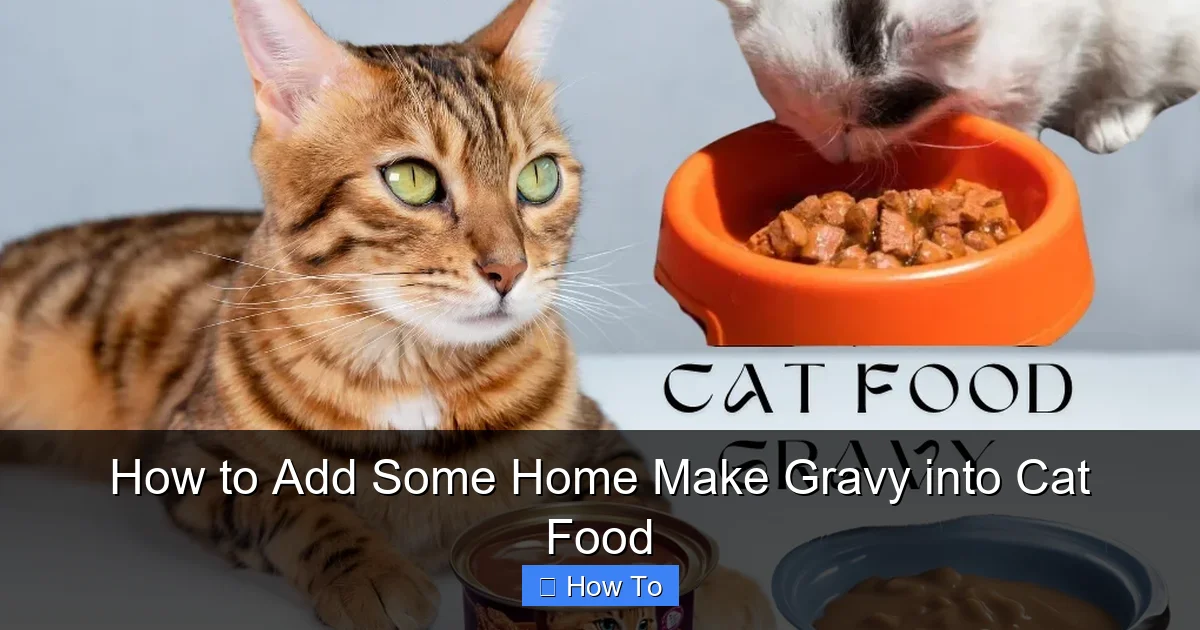 How to Add Some Home Make Gravy into Cat Food