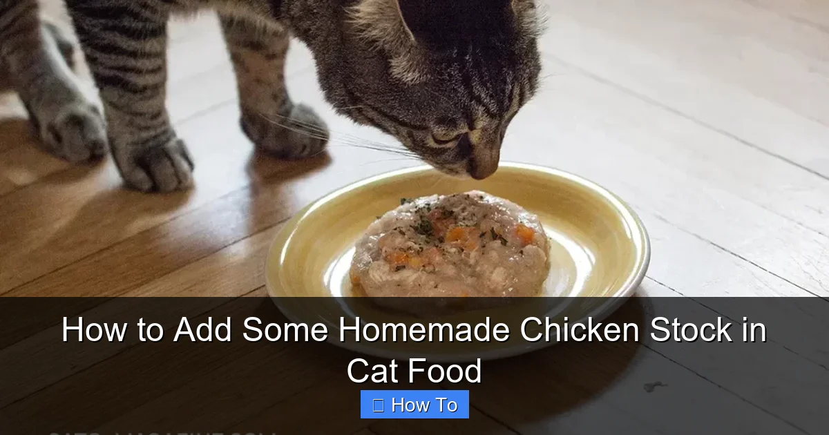 How to Add Some Homemade Chicken Stock in Cat Food