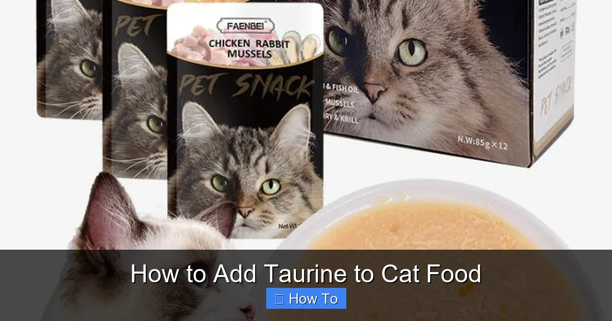 How to Add Taurine to Cat Food