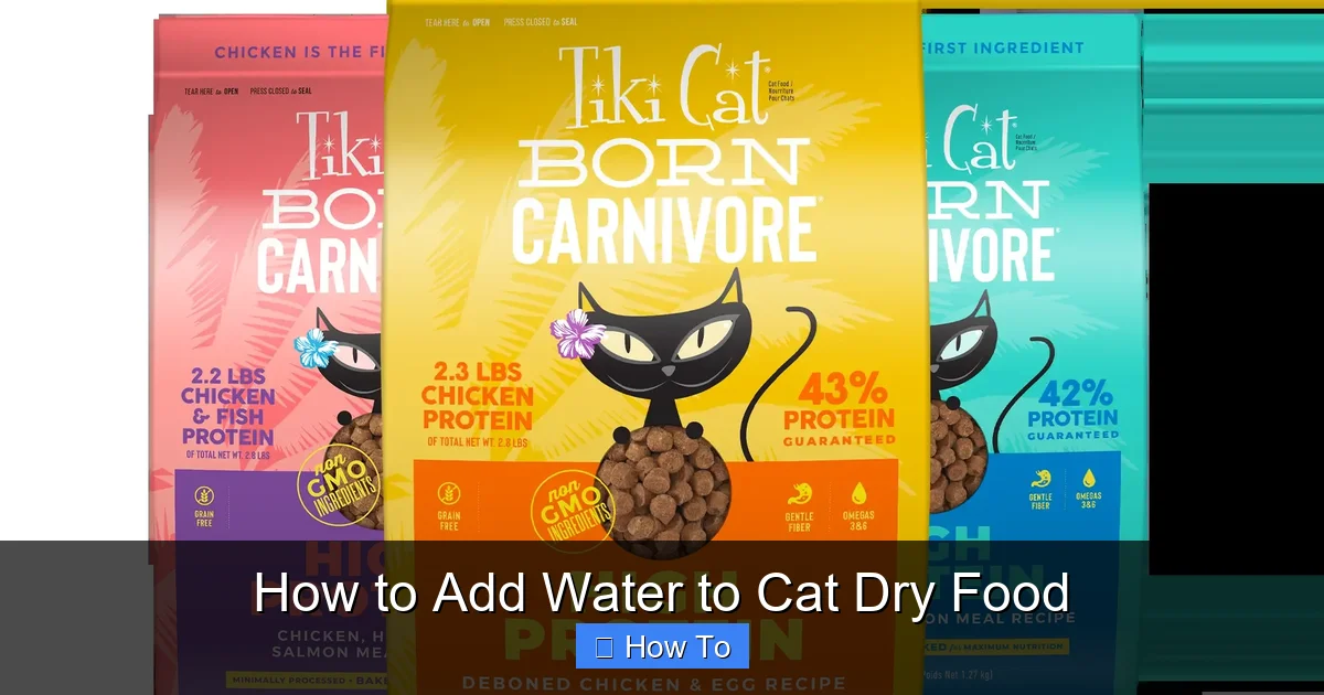 How to Add Water to Cat Dry Food