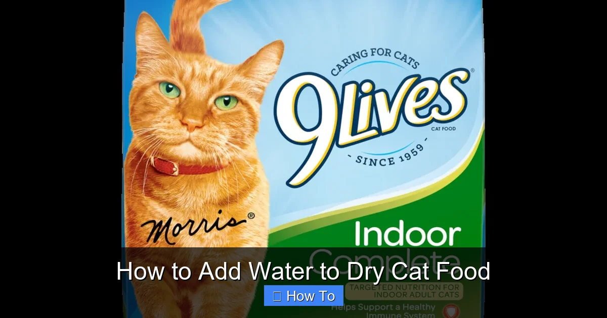 How to Add Water to Dry Cat Food